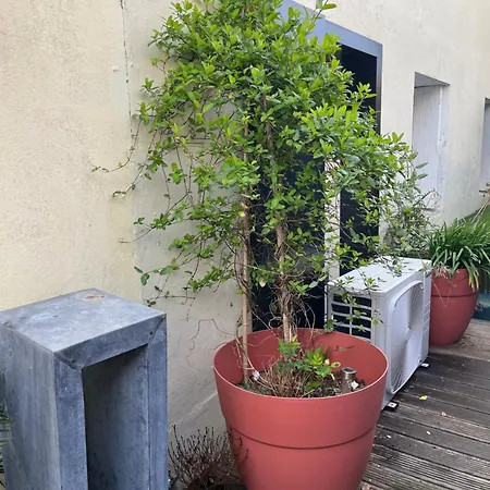 Apartament Proche Grotte De Matata *