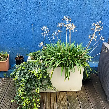 Apartament Proche Grotte De Matata