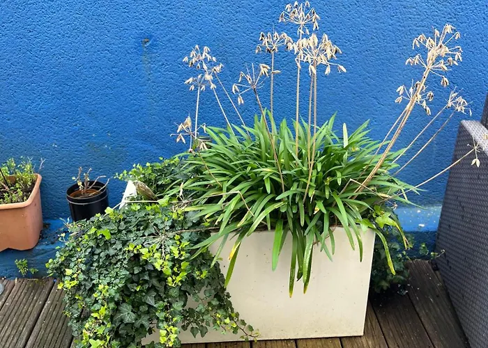 Apartamento Proche Grotte De Matata